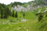 2014-07-05_Laengental-N-Hochweg (897). JPG